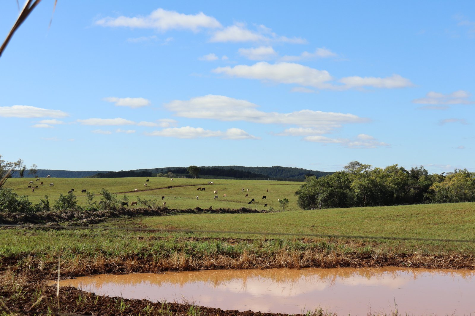 Foto de FAZENDA SUPER 500