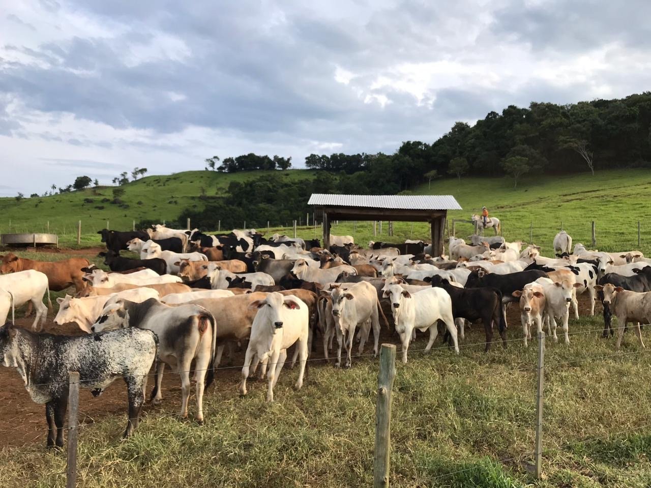 Foto de FAZENDA SUPER 500
